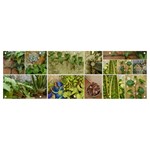 Garden Sanctuary Photo Collage Print Banner and Sign 12  x 4 