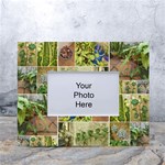 Garden Sanctuary Photo Collage Print White Tabletop Photo Frame 4 x6 