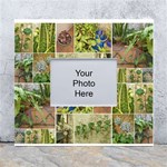 Garden Sanctuary Photo Collage Print White Wall Photo Frame 5  x 7 