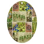 Garden Sanctuary Photo Collage Print UV Print Acrylic Ornament Oval