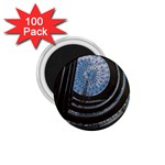 Building Ceiling Structure Dome 1.75  Magnets (100 pack) 