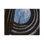 Building Ceiling Structure Dome Premium Plush Fleece Blanket (Mini)