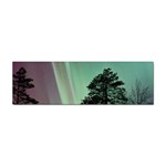 Silhouette Of Aurora Borealis Sticker Bumper (10 pack)