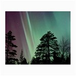 Silhouette Of Aurora Borealis Small Glasses Cloth