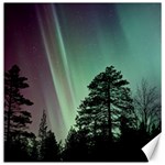 Silhouette Of Aurora Borealis Canvas 20  x 20 