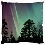 Silhouette Of Aurora Borealis Standard Premium Plush Fleece Cushion Case (Two Sides)