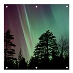 Silhouette Of Aurora Borealis Banner and Sign 4  x 4 