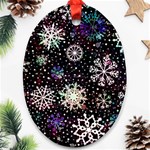 Shiny Winter Snowflake Abstract Christmas Cold Crystal December Ornament (Oval)