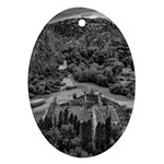 Florentino ameghino dam, chubut, argentina Ornament (Oval)