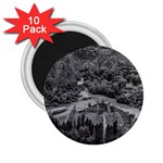 Florentino ameghino dam, chubut, argentina 2.25  Magnets (10 pack) 