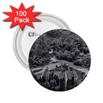 Florentino ameghino dam, chubut, argentina 2.25  Buttons (100 pack) 