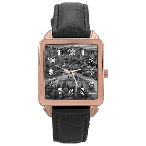 Florentino ameghino dam, chubut, argentina Rose Gold Leather Watch  from ArtsNow.com Front