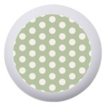 Polk Dots Seamless Pattern Dento Box with Mirror