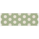 Polk Dots Seamless Pattern Banner and Sign 9  x 3 