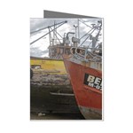 Maritime Memories, San Antonio Oeste, Rio Negro, Argentina Mini Greeting Cards (Pkg of 8)