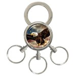 Img 1216 3-Ring Key Chain