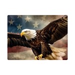 Img 1216 Premium Plush Fleece Blanket (Mini)