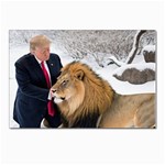 Img 1217 Postcards 5  x 7  (Pkg of 10)