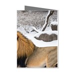 Img 1217 Mini Greeting Cards (Pkg of 8)