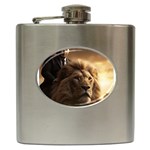 Img 1226 Hip Flask (6 oz)