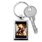 Img 1228 Key Chain (Rectangle)