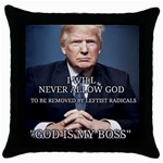 Img 1411 Throw Pillow Case (Black)