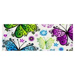 Butterflies, Abstract, Background, Colorful Banner and Sign 8  x 3 