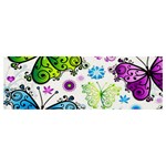 Butterflies, Abstract, Background, Colorful Banner and Sign 12  x 4 