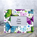 Butterflies, Abstract, Background, Colorful White Tabletop Photo Frame 4 x6 