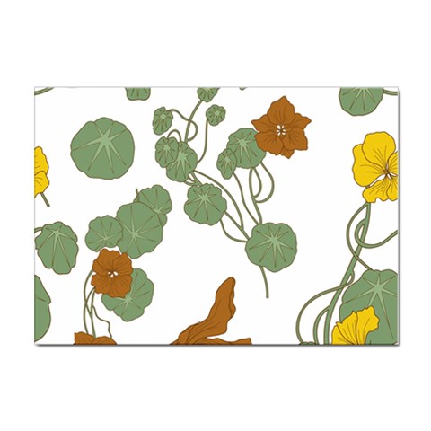 Nasturtium Flowers Plant Leaves Sticker A4 (10 pack) from ArtsNow.com Front