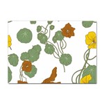 Nasturtium Flowers Plant Leaves Sticker A4 (10 pack)