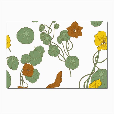 Nasturtium Flowers Plant Leaves Postcard 4 x 6  (Pkg of 10) from ArtsNow.com Front