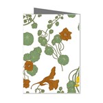 Nasturtium Flowers Plant Leaves Mini Greeting Cards (Pkg of 8)