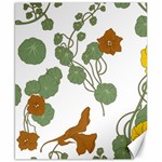 Nasturtium Flowers Plant Leaves Canvas 8  x 10 