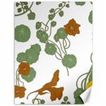 Nasturtium Flowers Plant Leaves Canvas 36  x 48 