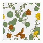 Nasturtium Flowers Plant Leaves Medium Glasses Cloth