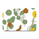 Nasturtium Flowers Plant Leaves Plate Mats