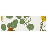 Nasturtium Flowers Plant Leaves Banner and Sign 9  x 3 