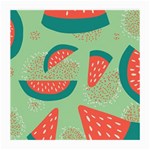 Watermelon Dots Summer Pattern Medium Glasses Cloth