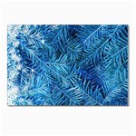 Blue Christmas Tree Branch Texture, Winter Texture, Tree Texture, Tree Branches Postcards 5  x 7  (Pkg of 10)