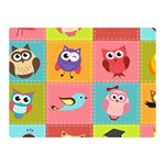 Owls Pattern, Abstract, Art, Desenho Two Sides Premium Plush Fleece Blanket (Mini)