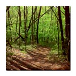 Peaceful Green Forest Walk Tile Coaster