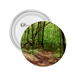 Peaceful Green Forest Walk 2.25  Buttons