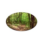 Peaceful Green Forest Walk Sticker (Oval)