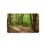 Peaceful Green Forest Walk Magnet (Name Card)