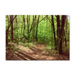 Peaceful Green Forest Walk Sticker A4 (100 pack)