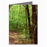 Peaceful Green Forest Walk Greeting Card