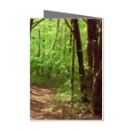 Peaceful Green Forest Walk Mini Greeting Cards (Pkg of 8)