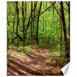 Peaceful Green Forest Walk Canvas 20  x 24 