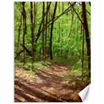 Peaceful Green Forest Walk Canvas 36  x 48 